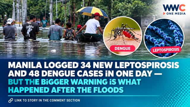 Manila Logged 34 New Leptospirosis and 48 Dengue Cases in One Day — But the Bigger Warning Is What Happened After the Floods
