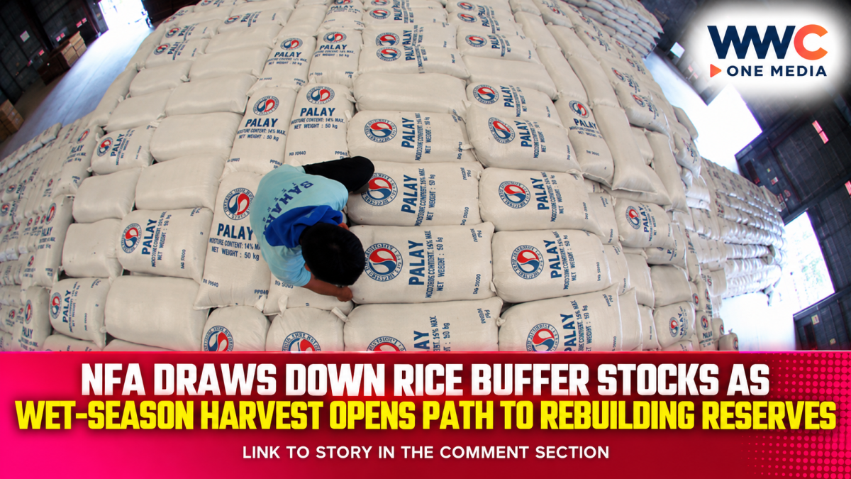 NFA Draws Down Rice Buffer Stocks as Wet-Season Harvest Opens Path to Rebuilding Reserves
