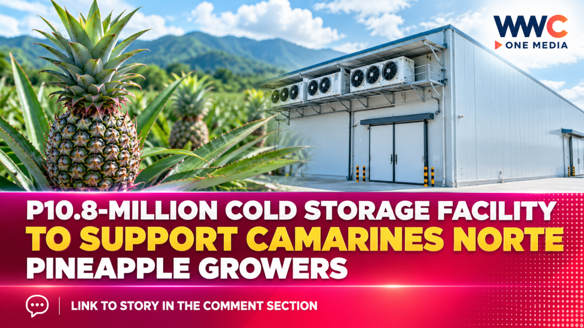 P10.8-Million Cold Storage Facility to Support Camarines Norte Pineapple Growers