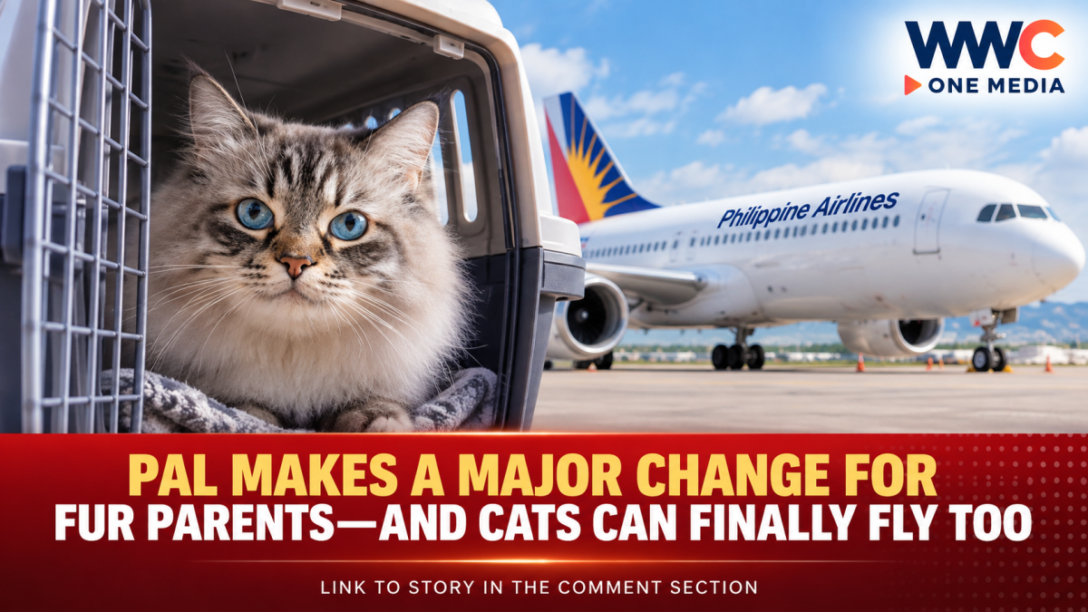 PAL Makes a Major Change for Fur Parents—And Cats Can Finally Fly Too