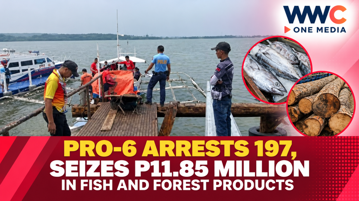 PRO-6 Arrests 197, Seizes P11.85 Million in Fish and Forest Products