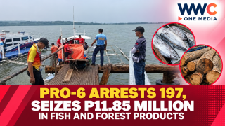 PRO-6 Arrests 197, Seizes P11.85 Million in Fish and Forest Products