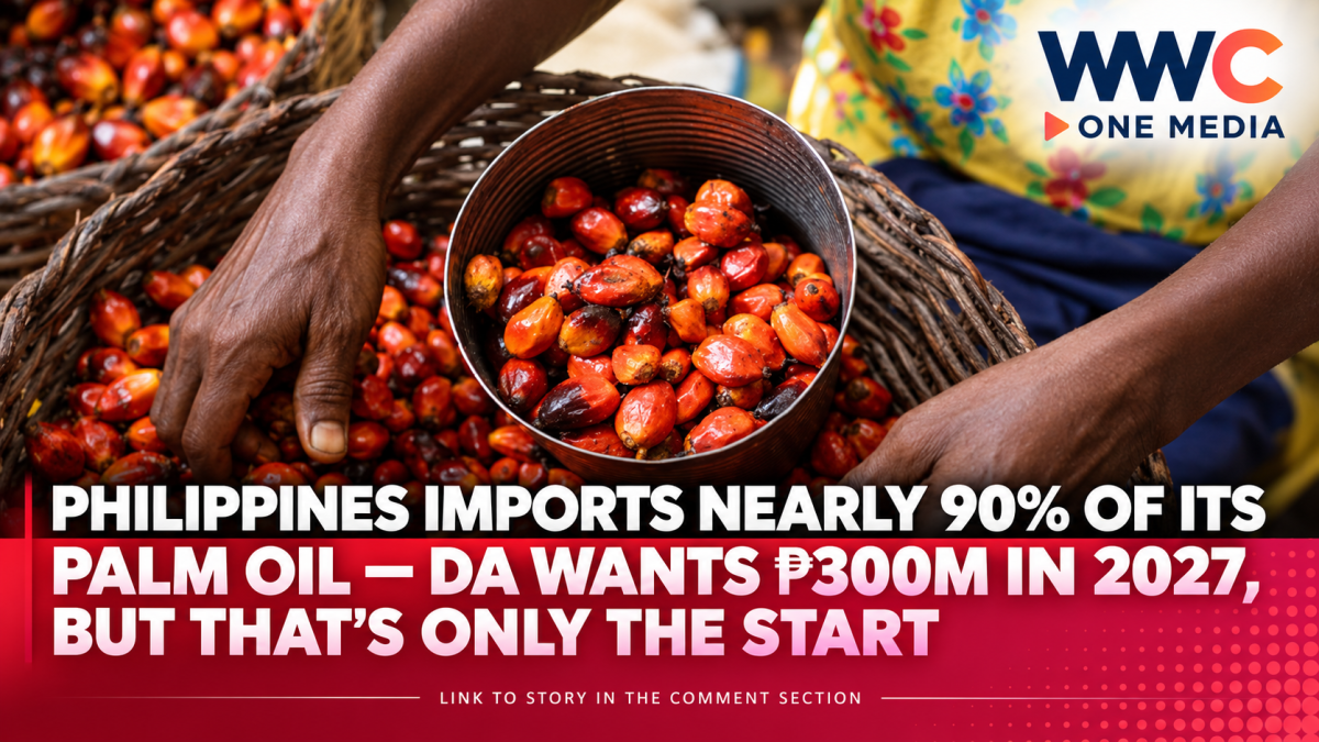 Philippines Imports Nearly 90% of Its Palm Oil — DA Wants ₱300M in 2027, But That’s Only the Start
