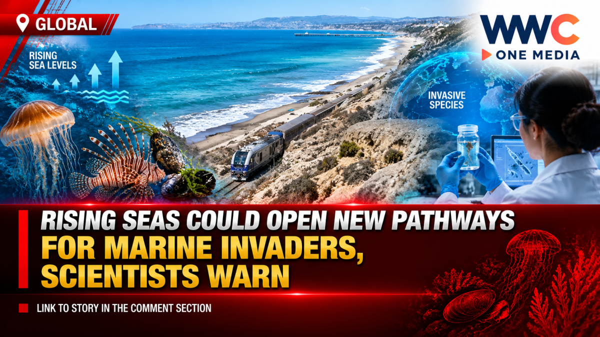 Rising Seas Could Open New Pathways for Marine Invaders, Scientists Warn