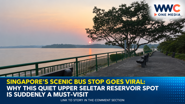 Singapore’s Scenic Bus Stop Goes Viral: Why This Quiet Upper Seletar Reservoir Spot Is Suddenly a Must-Visit