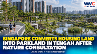Singapore Converts Housing Land Into Parkland in Tengah After Nature Consultation