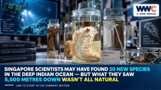 Singapore Scientists May Have Found 20 New Species in the Deep Indian Ocean — But What They Saw 5,000 Metres Down Wasn’t All Natural