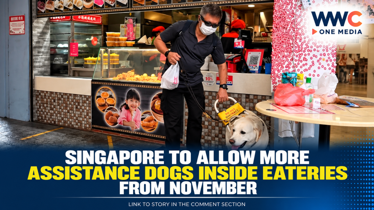 Singapore to Allow More Assistance Dogs Inside Eateries From November