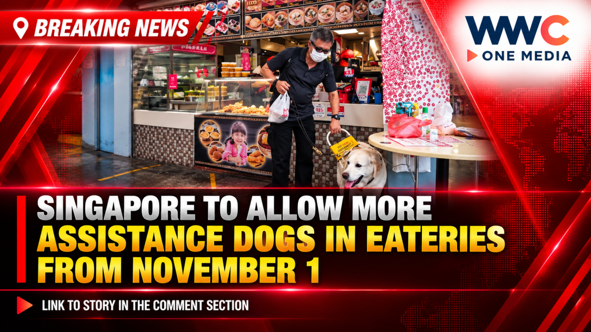 Singapore to Allow More Assistance Dogs in Eateries From November 1