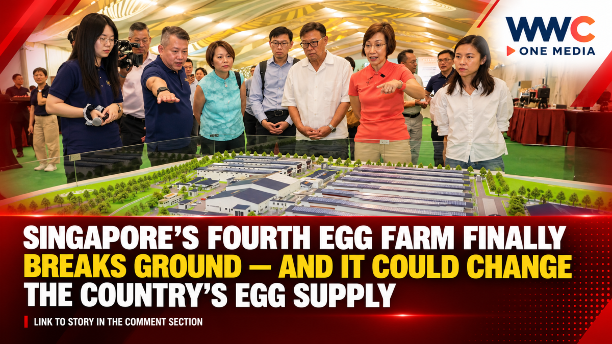Singapore’s Fourth Egg Farm Finally Breaks Ground — And It Could Change the Country’s Egg Supply