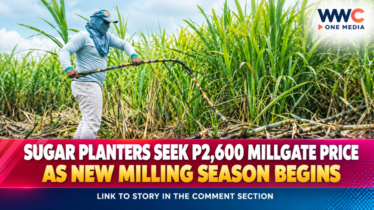 Sugar Planters Seek P2,600 Millgate Price as New Milling Season Begins