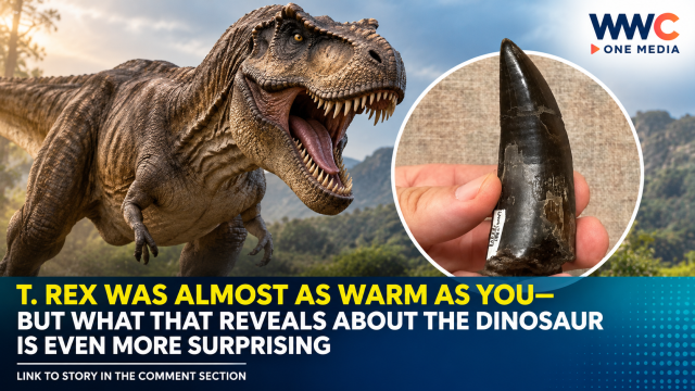 T. Rex Was Almost as Warm as You—But What That Reveals About the Dinosaur Is Even More Surprising