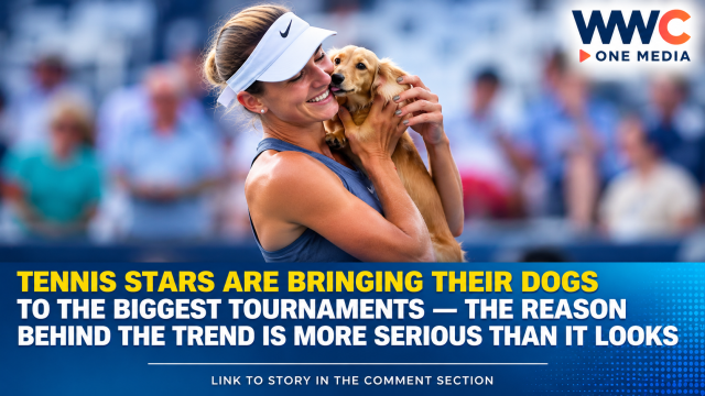 Tennis Stars Are Bringing Their Dogs to the Biggest Tournaments — The Reason Behind the Trend Is More Serious Than It Looks