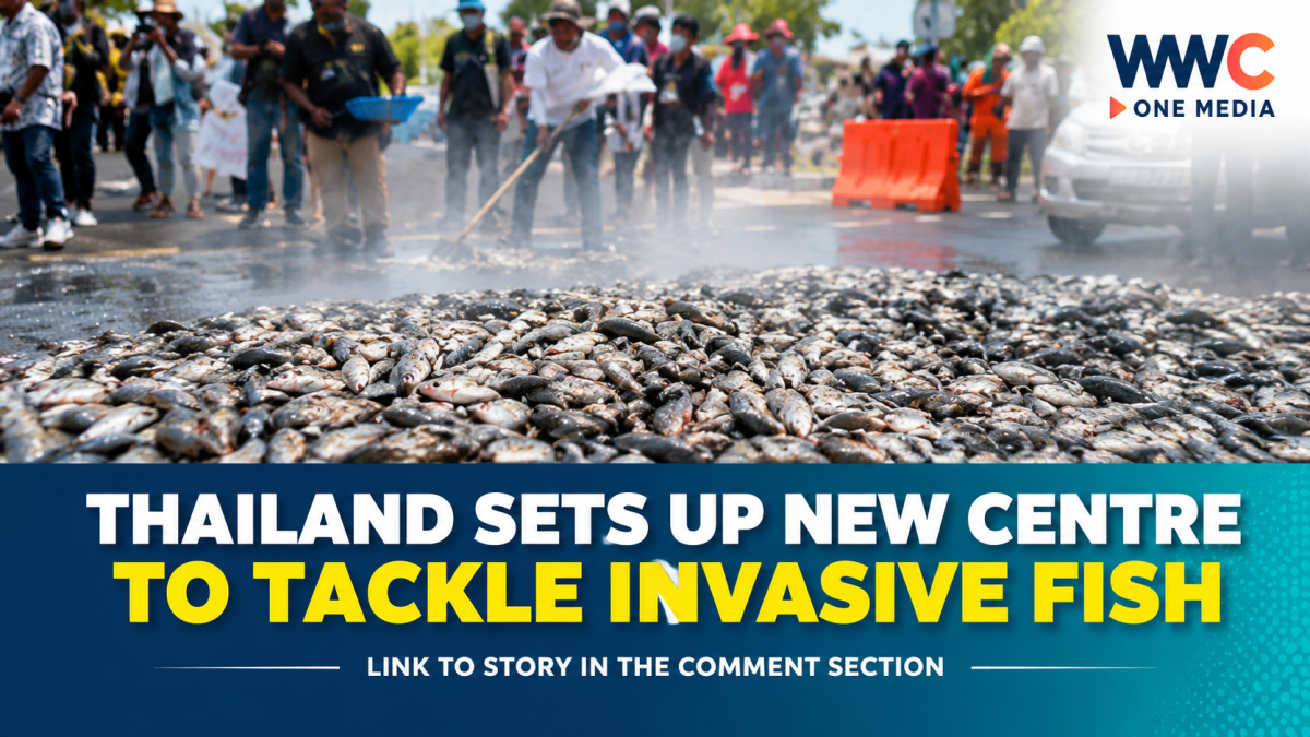 Thailand Sets Up New Centre to Tackle Invasive Fish
