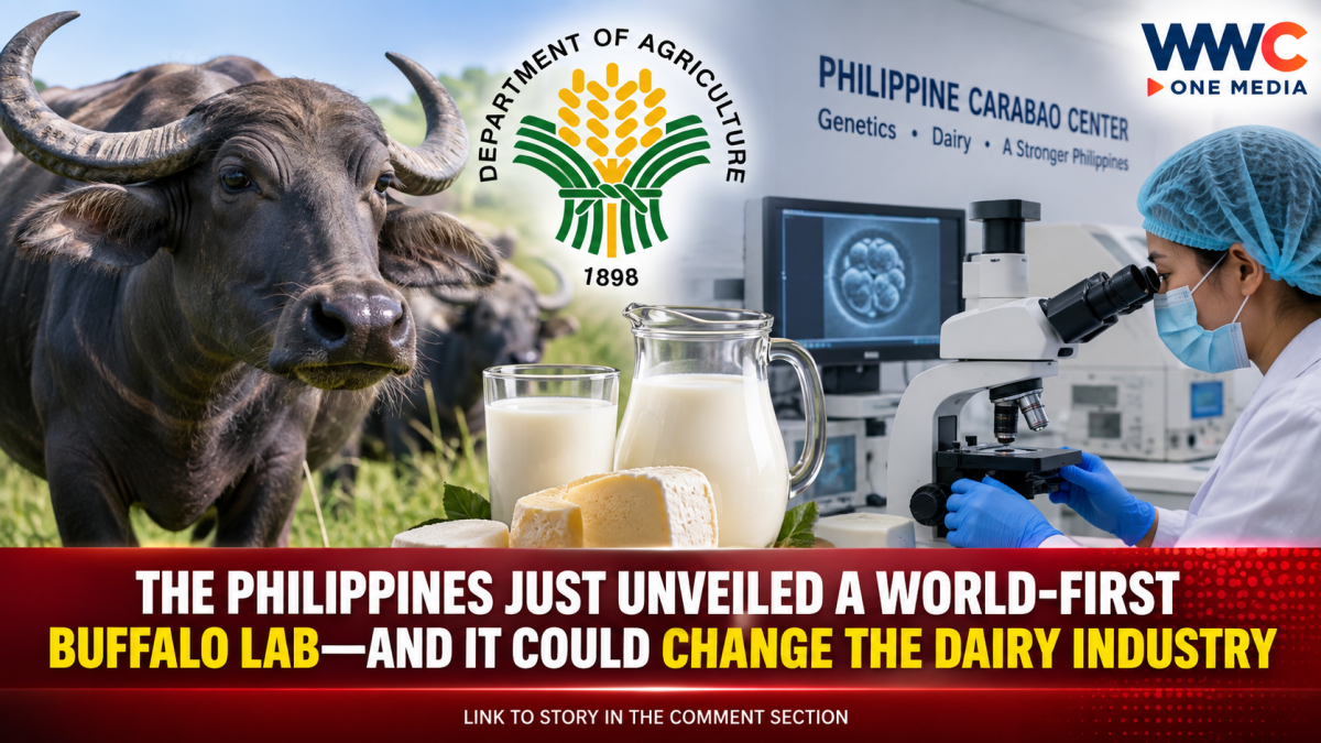 The Philippines Just Unveiled a World-First Buffalo Lab—And It Could Change the Dairy Industry