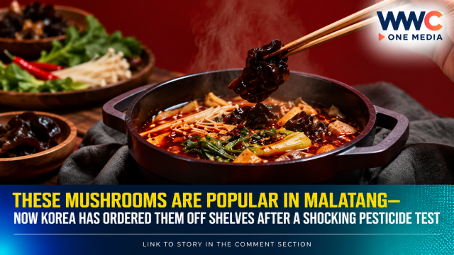 These Mushrooms Are Popular in Malatang—Now Korea Has Ordered Them Off Shelves After a Shocking Pesticide Test