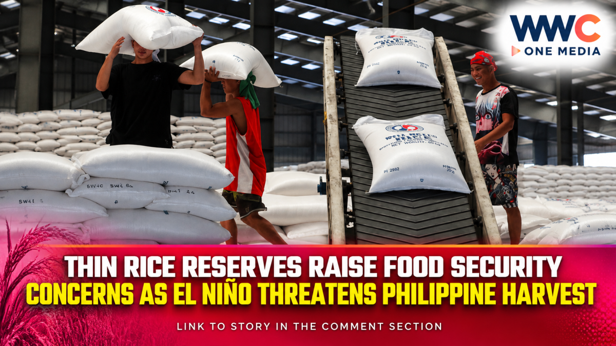 Thin Rice Reserves Raise Food Security Concerns as El Niño Threatens Philippine Harvest