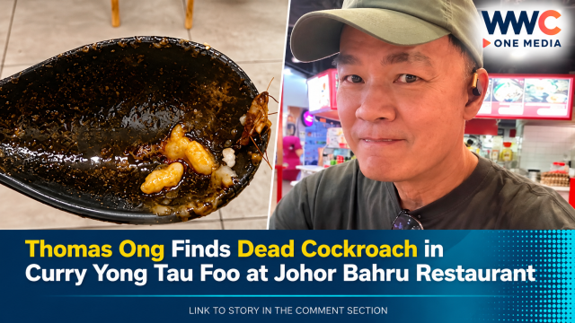 Thomas Ong Finds Dead Cockroach in Curry Yong Tau Foo at Johor Bahru Restaurant