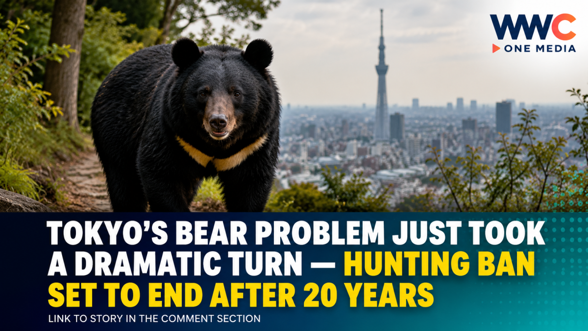 TOKYO’S BEAR PROBLEM JUST TOOK A DRAMATIC TURN — Hunting Ban Set to End After 20 Years