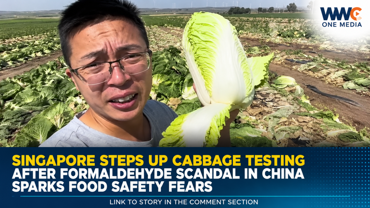 Singapore Steps Up Cabbage Testing After Formaldehyde Scandal in China Sparks Food Safety Fears
