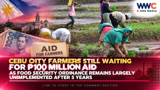 Cebu City Farmers Still Waiting for P100 Million Aid as Food Security Ordinance Remains Largely Unimplemented After 5 Years