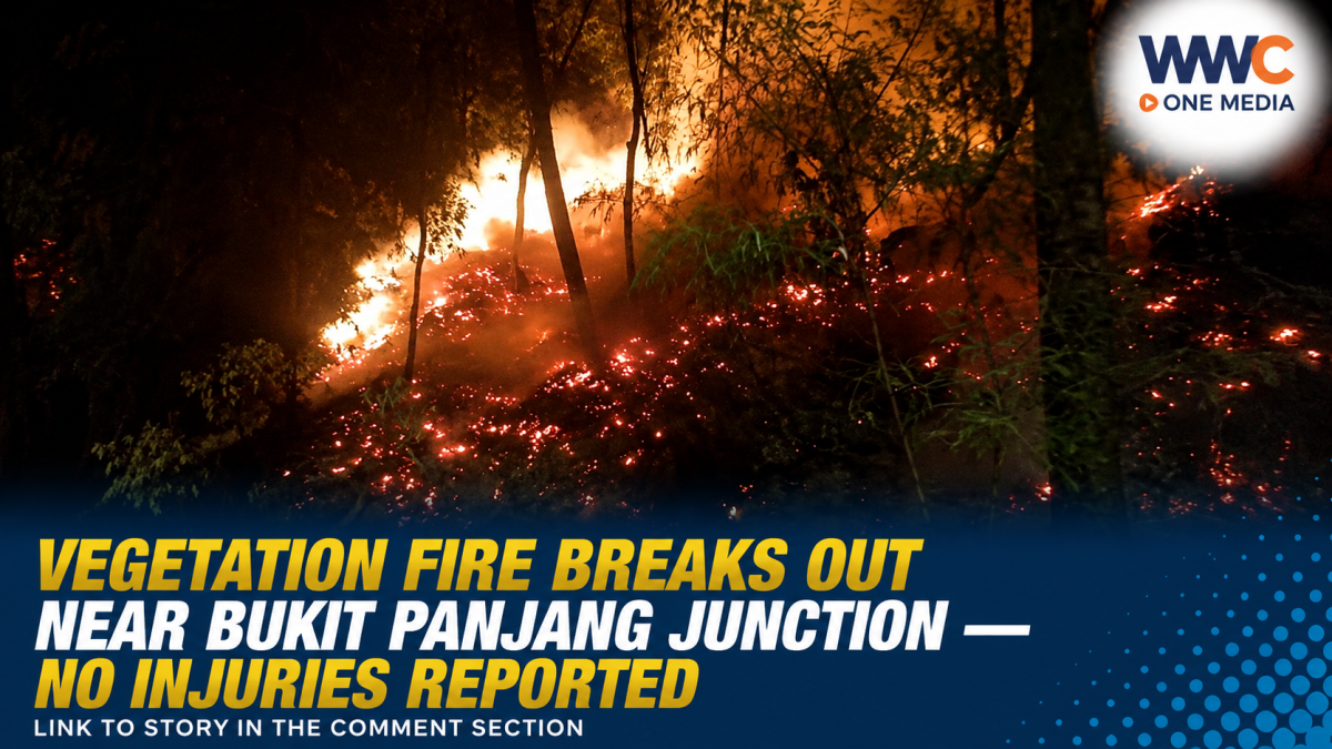 Vegetation Fire Breaks Out Near Bukit Panjang Junction — No Injuries Reported