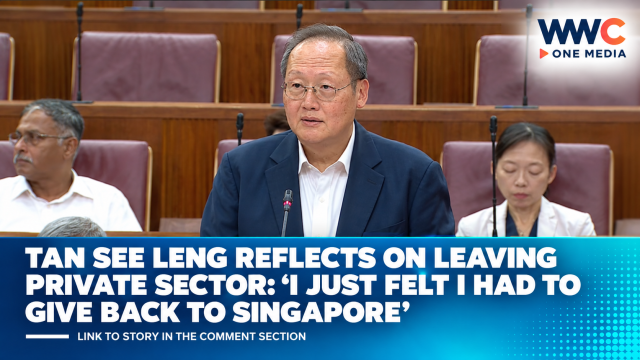 Tan See Leng Reflects on Leaving Private Sector: ‘I Just Felt I Had to Give Back to Singapore’