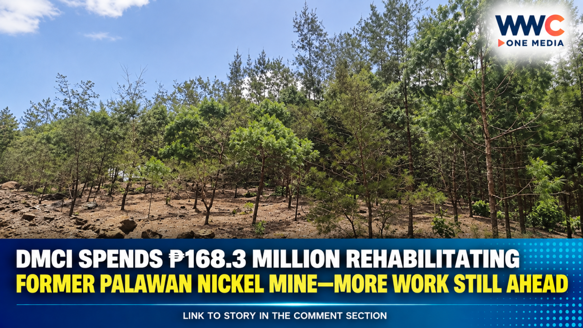 DMCI Spends ₱168.3 Million Rehabilitating Former Palawan Nickel Mine—More Work Still Ahead