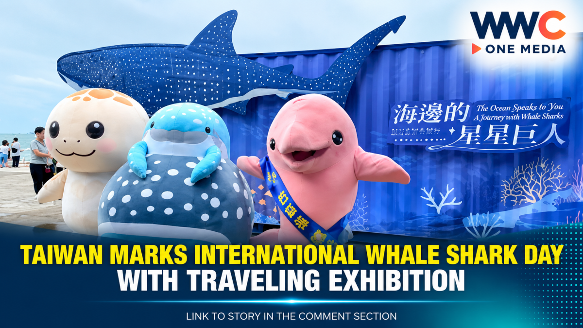Taiwan Marks International Whale Shark Day With Traveling Exhibition
