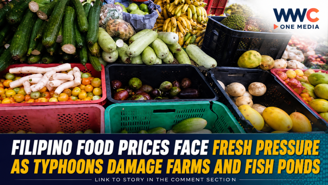 Filipino Food Prices Face Fresh Pressure as Typhoons Damage Farms and Fish Ponds
