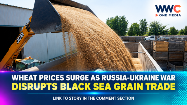 Wheat Prices Surge as Russia-Ukraine War Disrupts Black Sea Grain Trade