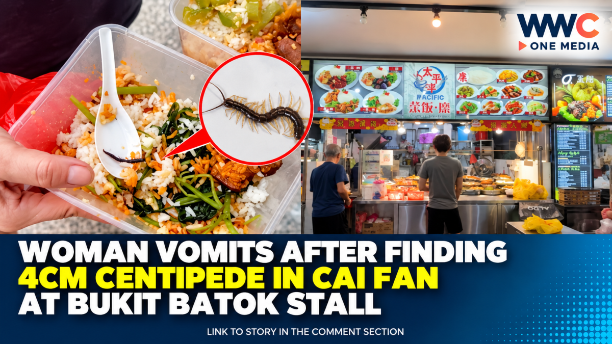 Woman Vomits After Finding 4cm Centipede in Cai Fan at Bukit Batok Stall
