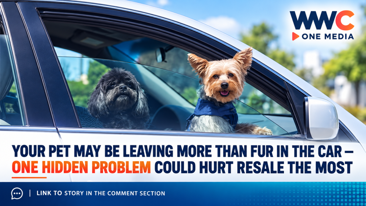 Your Pet May Be Leaving More Than Fur in the Car — One Hidden Problem Could Hurt Resale the Most