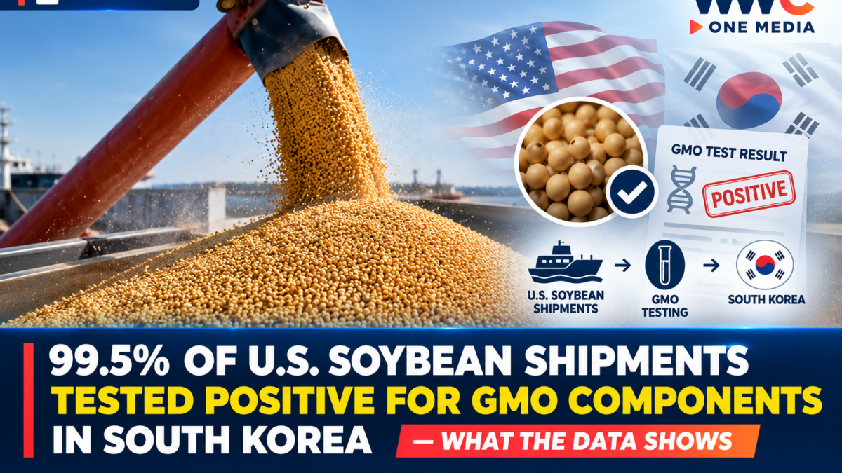 99.5% of U.S. Soybean Shipments Tested Positive for GMO Components in South Korea — What the Data Shows