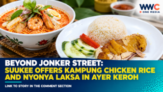 Beyond Jonker Street: Suukee Offers Kampung Chicken Rice and Nyonya Laksa in Ayer Keroh