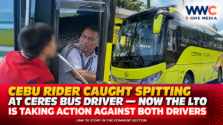 Cebu Rider Caught Spitting at Ceres Bus Driver — Now the LTO Is Taking Action Against Both Drivers