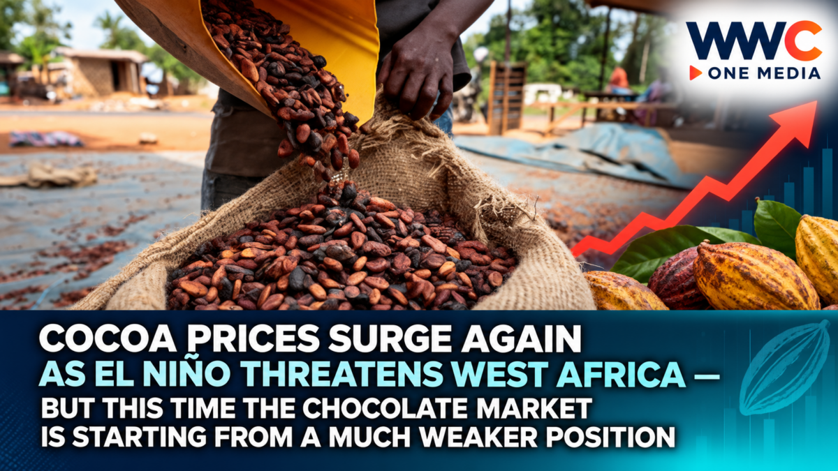Cocoa Prices Surge Again as El Niño Threatens West Africa — But This Time the Chocolate Market Is Starting From a Much Weaker Position