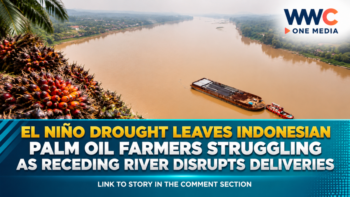 El Niño Drought Leaves Indonesian Palm Oil Farmers Struggling as Receding River Disrupts Deliveries