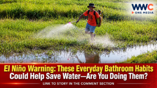 El Niño Warning: These Everyday Bathroom Habits Could Help Save Water—Are You Doing Them?