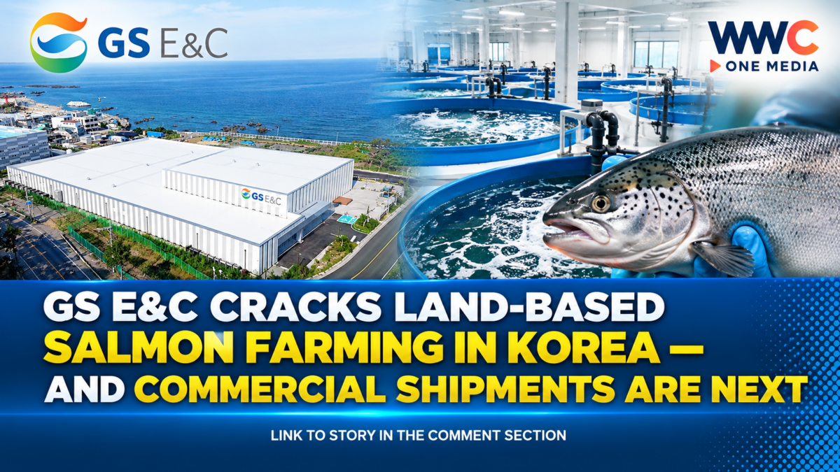 GS E&C Cracks Land-Based Salmon Farming in Korea — And Commercial Shipments Are Next
