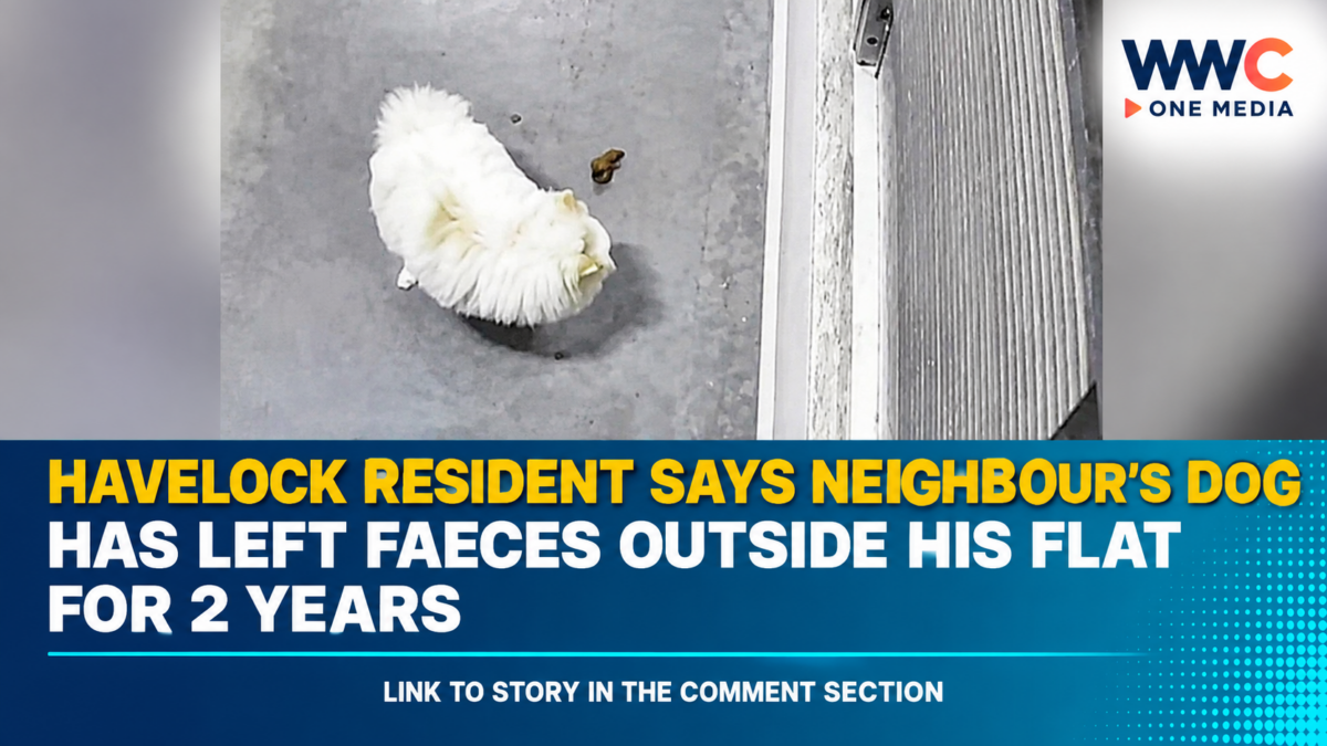 Havelock Resident Says Neighbour’s Dog Has Left Faeces Outside His Flat for 2 Years
