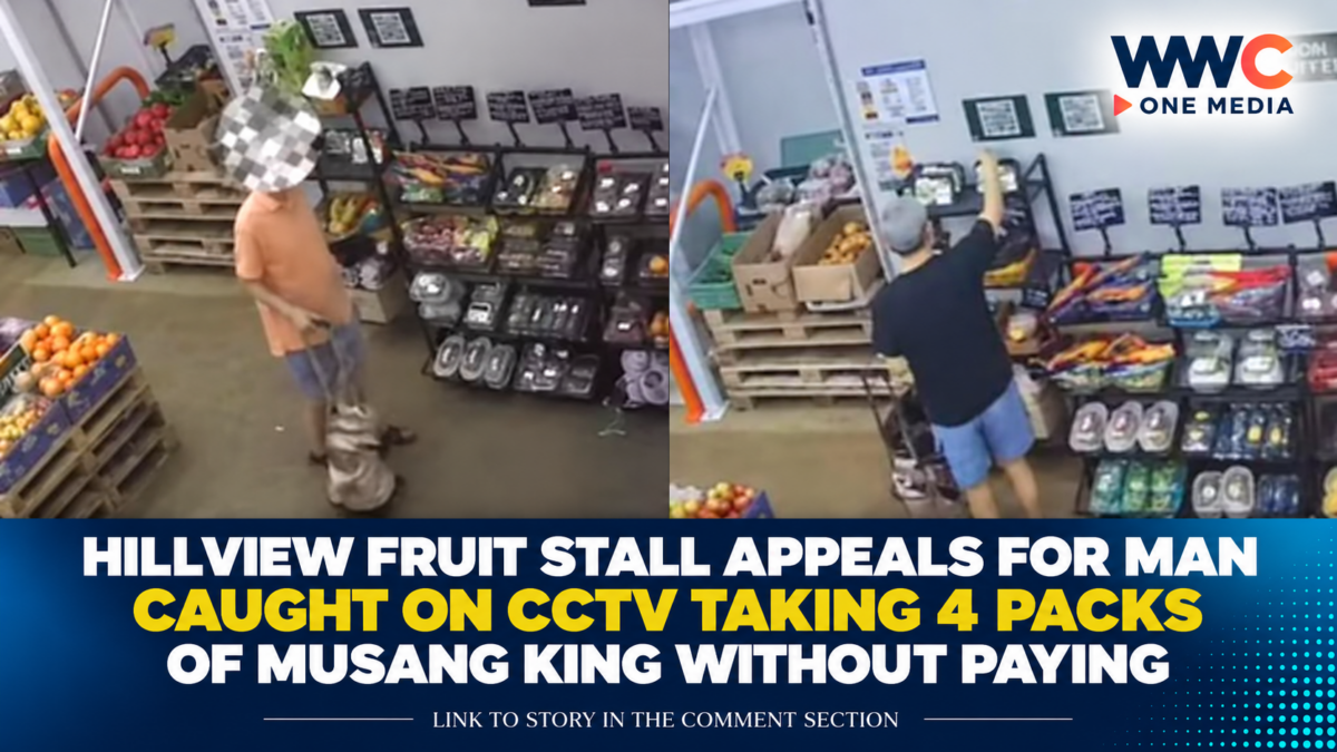 Hillview Fruit Stall Appeals for Man Caught on CCTV Taking 4 Packs of Musang King Without Paying