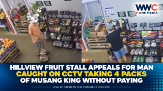 Hillview Fruit Stall Appeals for Man Caught on CCTV Taking 4 Packs of Musang King Without Paying