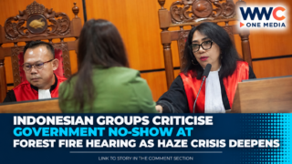 Indonesian Groups Criticise Government No-Show at Forest Fire Hearing as Haze Crisis Deepens
