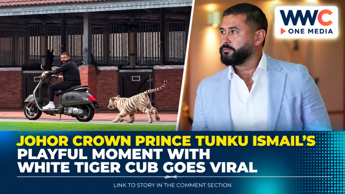 Johor Crown Prince Tunku Ismail’s Playful Moment With White Tiger Cub Goes Viral