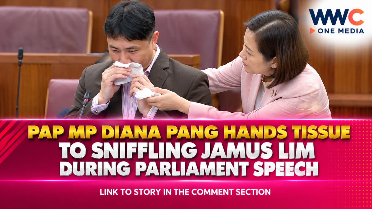 PAP MP Diana Pang Hands Tissue to Sniffling Jamus Lim During Parliament Speech