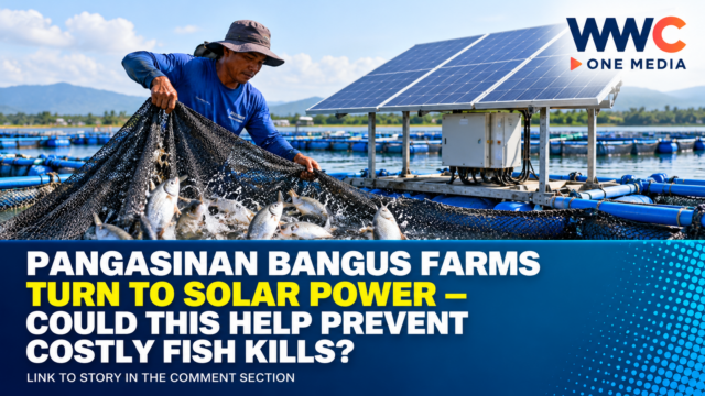 Pangasinan Bangus Farms Turn to Solar Power—Could This Help Prevent Costly Fish Kills?