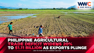 Philippine Agricultural Trade Deficit Widens 20% to $1.11 Billion as Exports Plunge