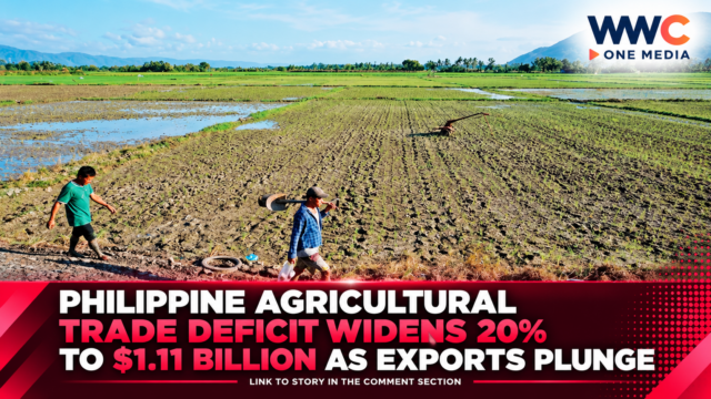 Philippine Agricultural Trade Deficit Widens 20% to $1.11 Billion as Exports Plunge