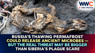 Russia’s Thawing Permafrost Could Release Ancient Microbes — But the Real Threat May Be Bigger Than Siberia’s Plague Scare